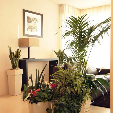 San Paolo Lido Di Savio