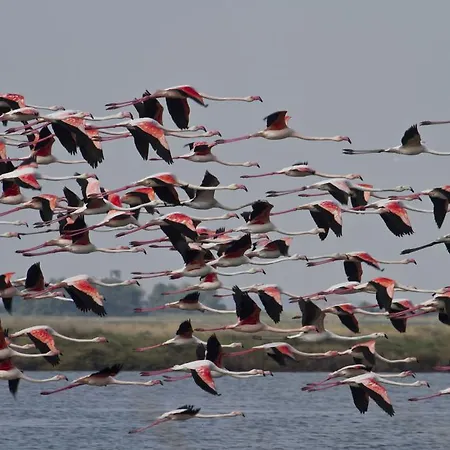 San Paolo Apartahotel 4*