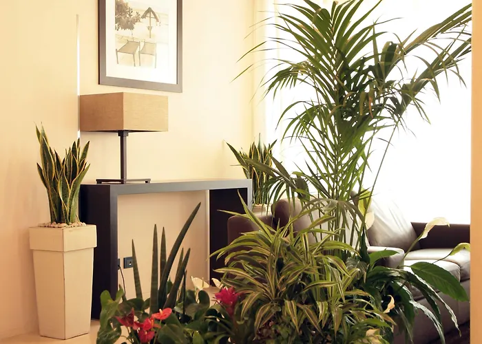 San Paolo Lido Di Savio