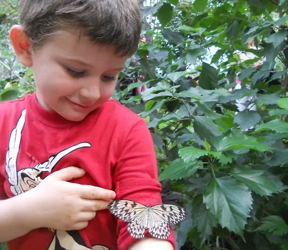 San Paolo 4* Lido Di Savio
