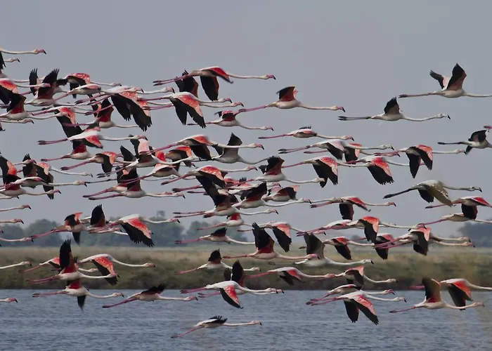 San Paolo Apart Otel 4*